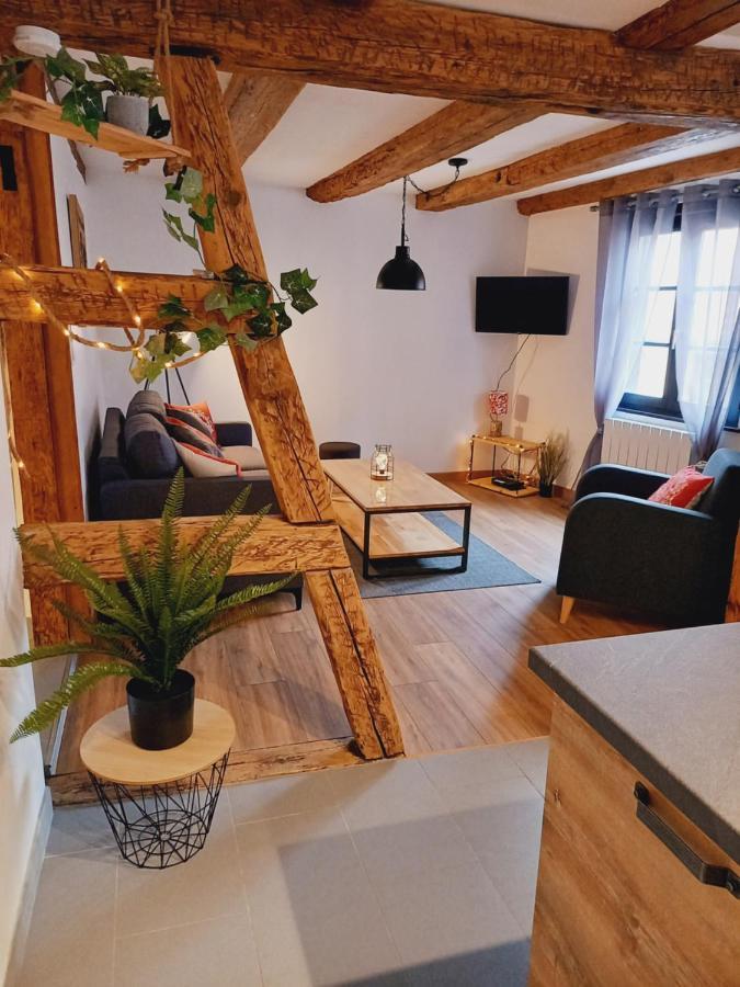 Appart'Heim Colmar Ngoại thất bức ảnh